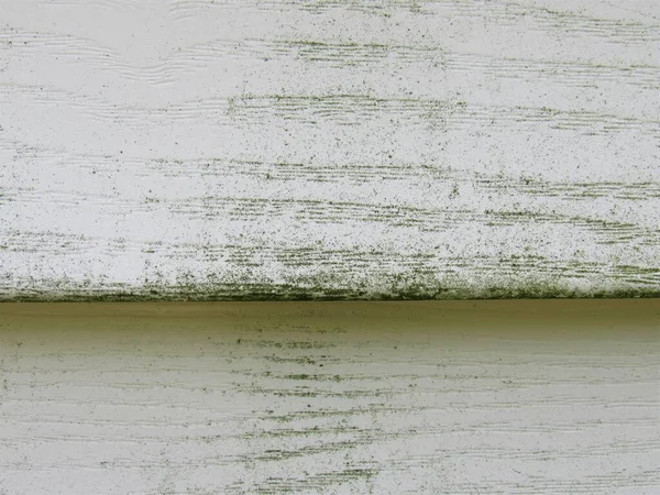 Closeup of the dirty siding on a house, with mold and mildew on the vinyl exterior