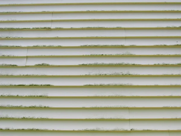 Closeup Dirty Siding House Mold Mildew Vinyl Exterior — Stock Photo, Image