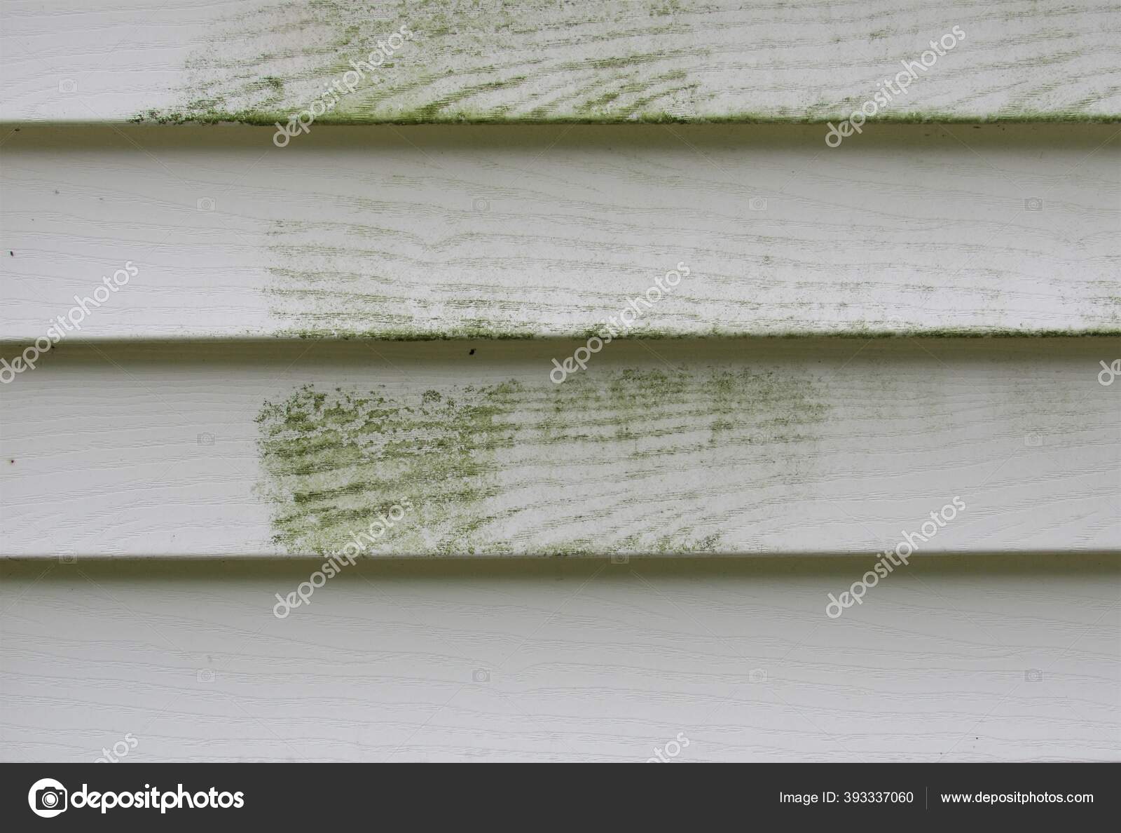Mold Mildew Exterior Siding House Stock Photo by ©idubert 393337060