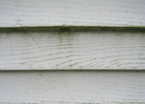 Mold and mildew on the exterior siding of a house