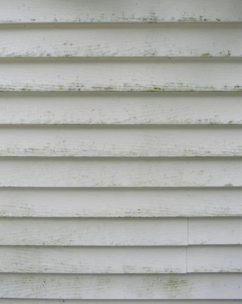 房屋外墙上的霉菌和霉菌 — 图库照片