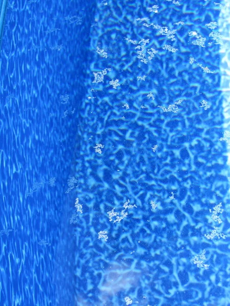 Пыльца Обломки Поверхности Воды Бассейне Голубым Лайнером — стоковое фото