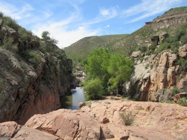 Ellison Creek 'in Payson, Arizona' daki Water Wheel Falls yürüyüş parkurundaki görüntüsü. 