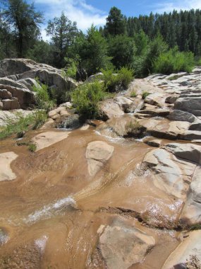 Ellison Creek manzarası Payson, Arizona 'da Water Wheel Falls yürüyüş yolunda görüldü.