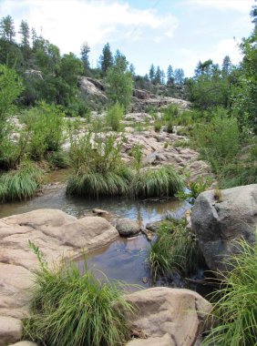 Payson, Arizona 'daki Water Wheel Falls yürüyüş yolunun manzarası. Arka planda mavi gökyüzü ve bulutlar.
