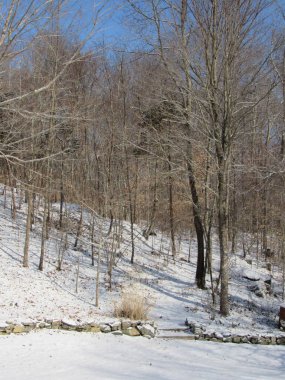 Taştan bir duvarla kaplı kar manzarası ve ormanda bir patikaya çıkan adımlar. 