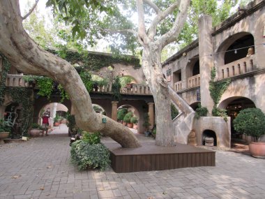 Sedona, Arizona 'daki Tlaquepaque Sanat ve Alışveriş Köyü' nde bulunan bir avlu bahçesinde büyüyen büyük bir ağacın görüntüsü