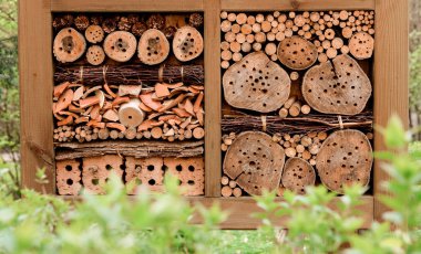 böcek otel bahçesinde doğal malzemelerden oluşturulan