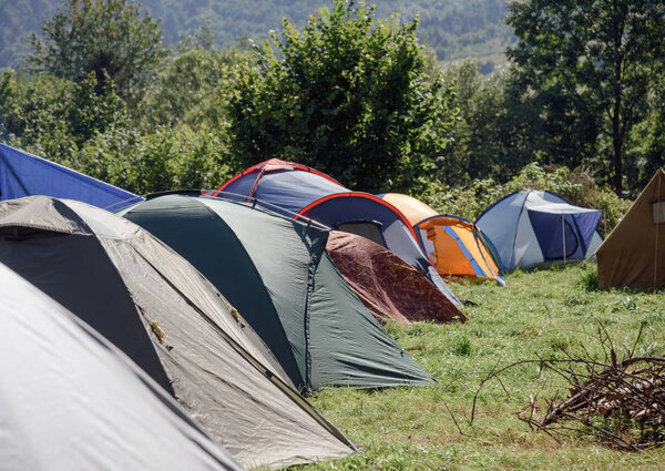 Туристические палатки на зеленом лугу на рассвете. Кемпинг
