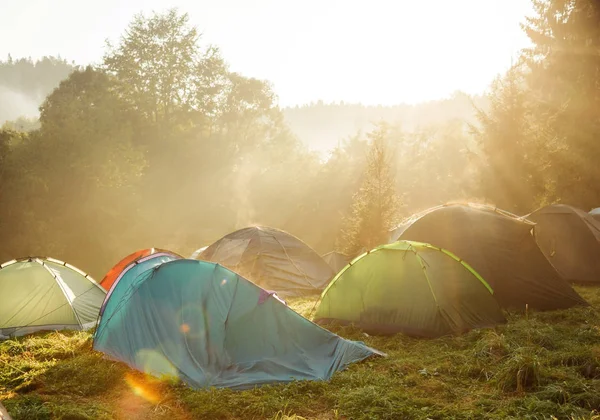 Tourist tents on green meadow at sunrise. Camping background