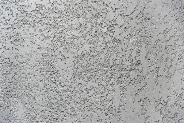 Seamless plaster texture "bark beetle" — Stock Image Seamless plaster texture "bark beetle" Stock Photo