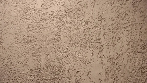 Texture de plâtre sans couture "scarabée de l'écorce " — Photo