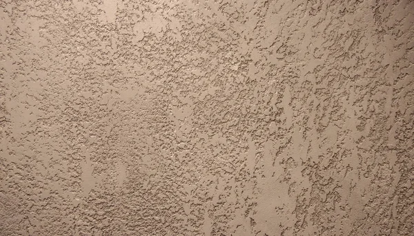 Seamless plaster texture "bark beetle" — Stock Image Seamless plaster texture "bark beetle" Stock Picture