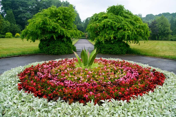 Floral garden at a botanic garden after rain — Stock Photo, Image