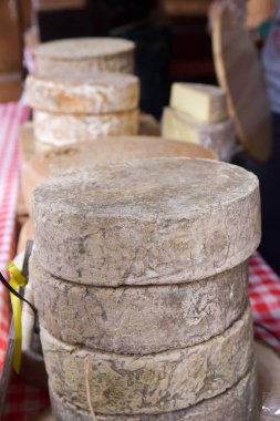 Gemide sarı peynir var.