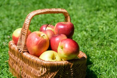 Yeşil çimlerin üzerinde çiftçi elmaları olan sepet