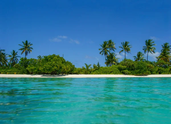 Vackra Tropiska Maldives Island Med Stranden Havet Och Coconut Palm — Stockfoto