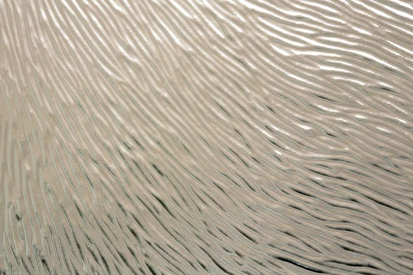 Kabarık cam doku duvar kağıdı. Düzensiz cam yüzey arka plan görüntüsü. Pencere meşe Barka kuvvetler. Kabartma pencere camı desen. Kabarık cam closeup çekim. Dalgalı cam doku masaüstü deseni.