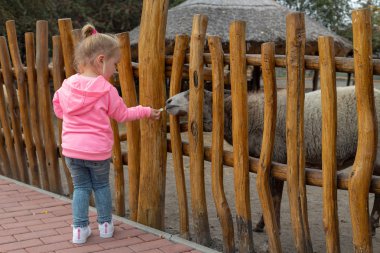 Soğuk bir sonbahar gününde çiftlikte hayvanları köpek mamasıyla besleyen sevimli genç bir kız. Güzel bayan çocuk çitin ötesindeki hayvanlara yemek veriyor. Küçük kız sonbahar günü sığır besliyor..