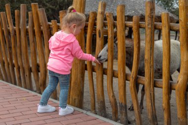 Soğuk bir sonbahar gününde çiftlikte hayvanları köpek mamasıyla besleyen sevimli genç bir kız. Güzel bayan çocuk çitin ötesindeki hayvanlara yemek veriyor. Küçük kız sonbahar günü sığır besliyor..