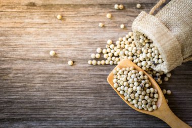 Tahta kaşık, kopya alanı topa kurutulmuş biber.