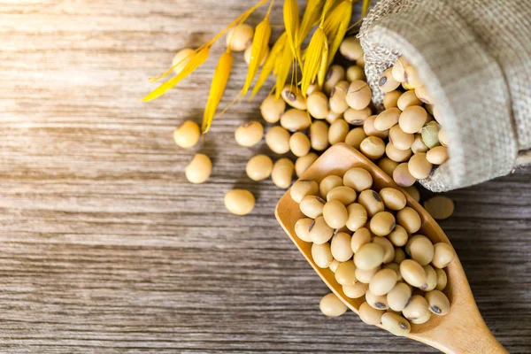 Bir tahta kaşık, kopya alanı üzerinde sağlıklı soya.