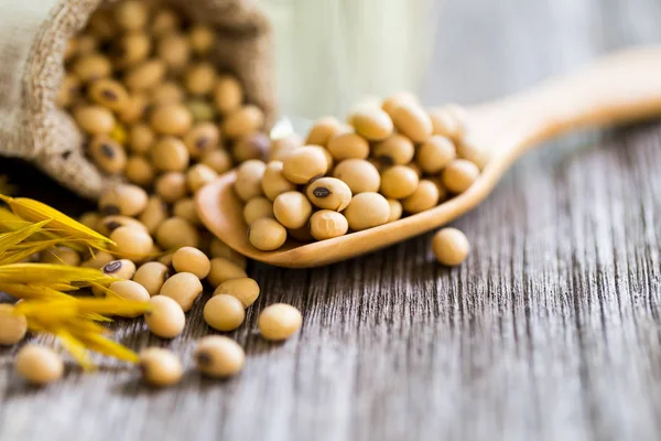 Bir tahta kaşık, kopya alanı üzerinde sağlıklı soya.