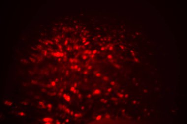 Noel degrade kırmızı degrade arka plan akan, bokeh glitter ve kırmızı kalp şeklinde Sevgililer günü aşk ilişki tatil olay Festival kavramı