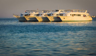 Red Sea, Hurghada. İyi akşamlar. Gemi dinlendikten sonra bir yolculuk mercan kayalıkları üzerinde.