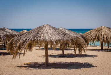 Mısır'daki Kızıl Denizin Sahilde plaj şemsiyeleri