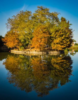 Şehir gölün ortasında sonbahar ağaç