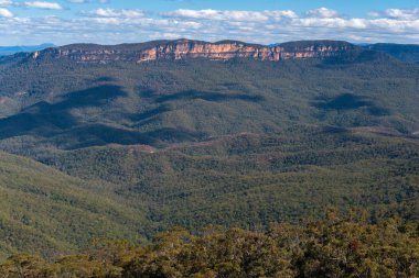 Okaliptüs ormanı, yatay Blue mountains. Wentworth Falls, Yeni Güney Galler, Avustralya
