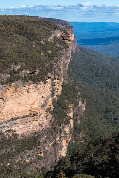 Blaue Berglandschaft Mit Eukalyptuswald Wentworth Falls New South Wales Australien — Stockfoto