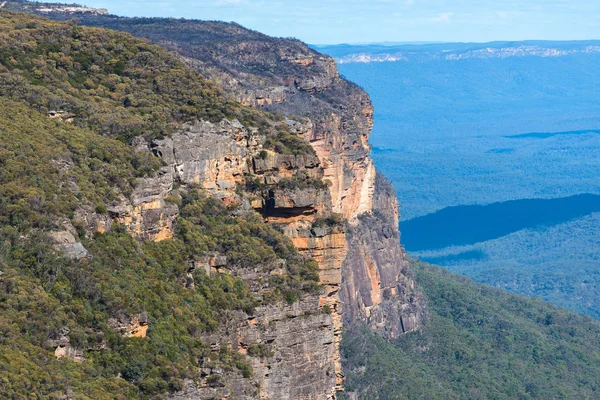 Blaue Berglandschaft Mit Eukalyptuswald Wentworth Falls New South Wales Australien — Stockfoto