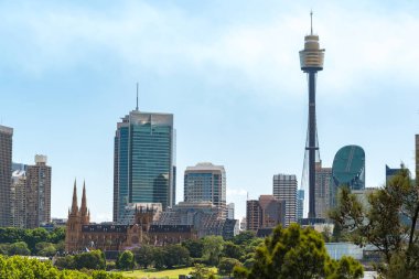 Sydney cityscape with St Marys Cathedral and Sydney Tower on sunny day clipart