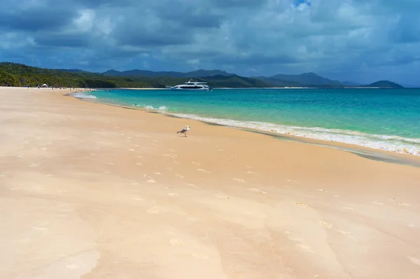 Hermosa Playa Tropical Con Costa Arenosa Crucero Distancia Fondo Verano — Foto de Stock
