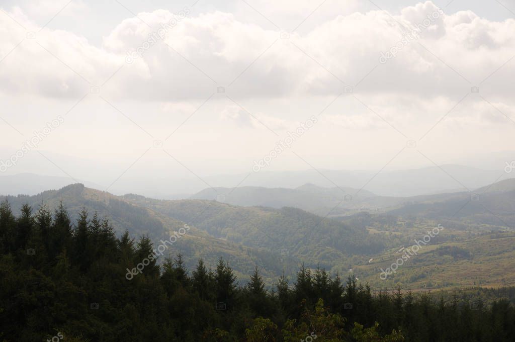 Picturesque view to the cloudy sky and pine tree mountain forest covered with mist