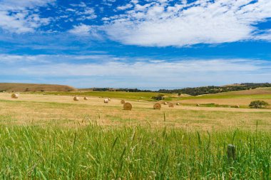 Güzel kırsal manzara saman balya ile tarım alanının