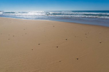 Çakıl ve hafif dalgalar ile plaj kum düşük açı görünümü