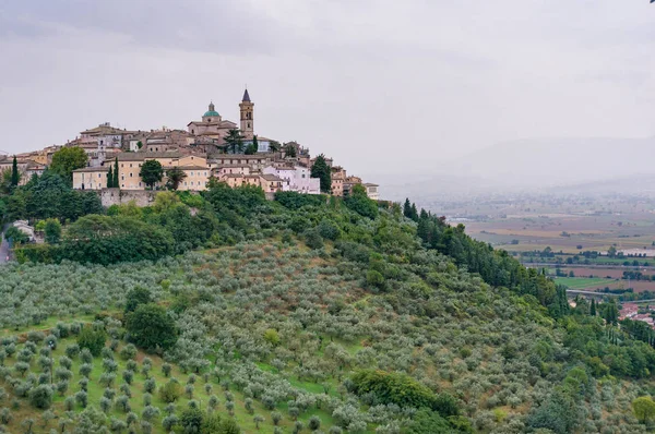 Zeytin bahçeleri ve Trevi İtalyan kırsal manzara — Stok fotoğraf