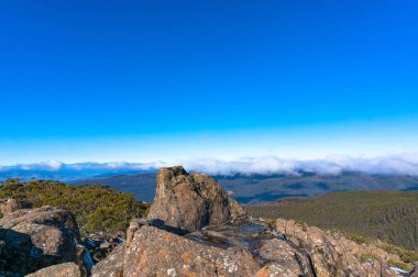 Okaliptüs ormanı üzerinde dağ manzarası üzerinden güzellikler görünüm. Mount alan Milli Parkı, Tazmanya, Avustralya