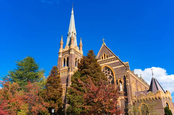 Armidale Australië April 2014 Mary Josephs Cathedral Tegen Helderblauwe Hemel — Stockfoto