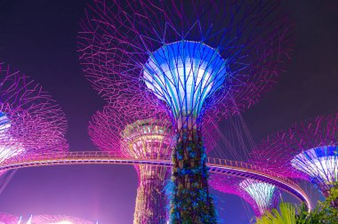 Singapur, Singapur-22 Aralık 2015: Süpertree Grove at Gardens Bay tarafından gece