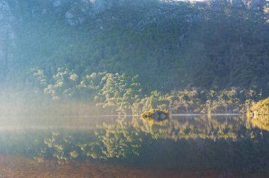 Dağ eğim suya yansır. Güneş kirişler, Haze ve sis ile dağ ormanında sabah manzara