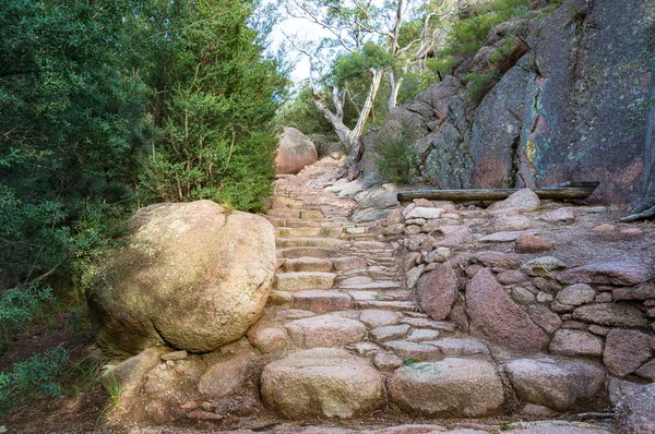 Rock, stone stairs on hiking path path, walkway