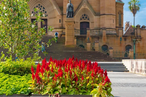 Coloridas flores rojas en el macizo de flores cerca de la Catedral de Santa María — Foto de Stock