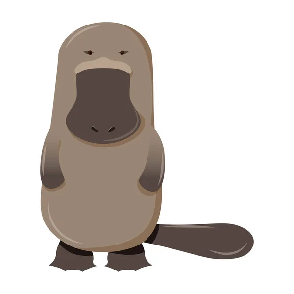 Platypus cartoon karakter geïsoleerd op witte achtergrond — Stockvector