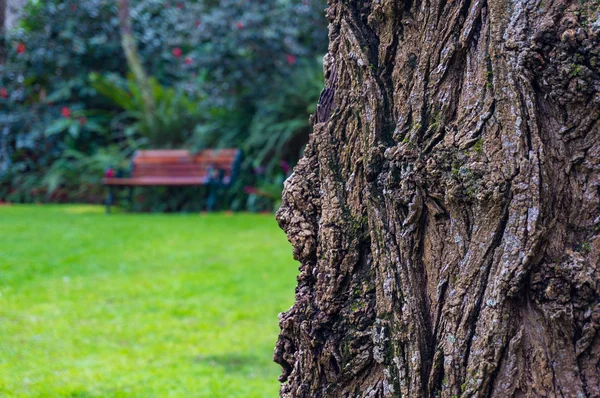 Bark textuur close up met tuin bankje op de achtergrond — Stockfoto