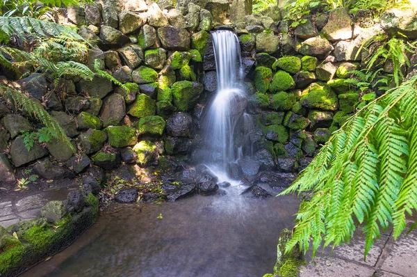Cachoeira em um jardim — Fotografia de Stock