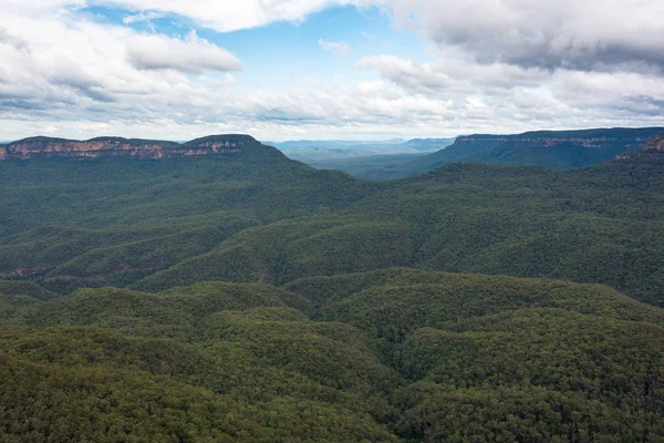 Belle vue panoramique sur la forêt d'eucalyptus — Photo